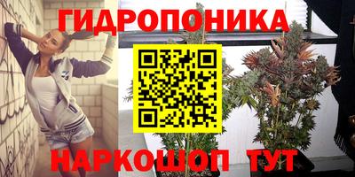 кокаин Будённовск